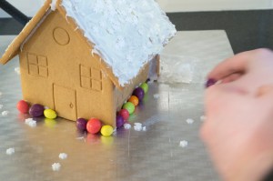 Gingerbread (183 of 241)