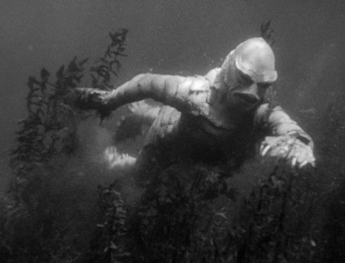 Encountering_Creature_Black_Lagoon