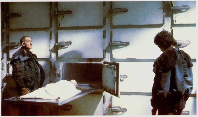 tumblr_memklxmkfl1qkcj94o1_1280